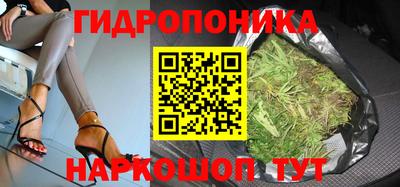 jwh Гусев